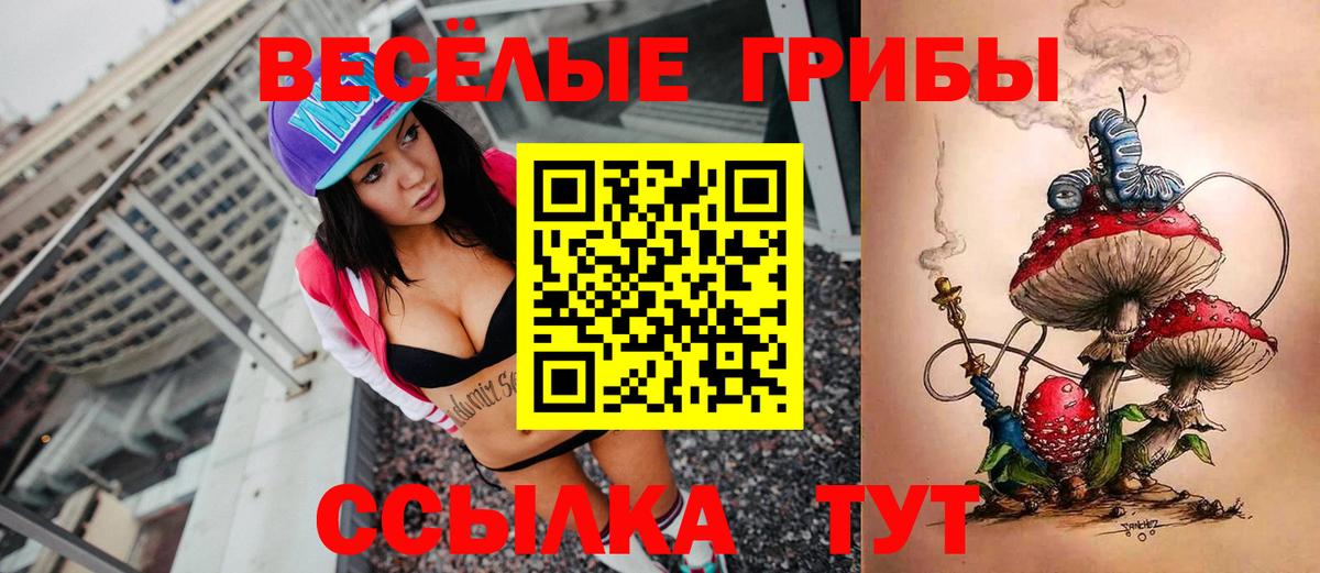 Губаха  Галлюциногенные грибы Cubensis  Вход с VPN  Галлюциногенные грибы Magic Shrooms 